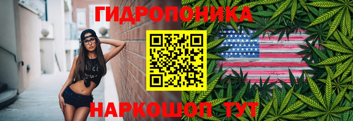 Каннабис сатива Курган
